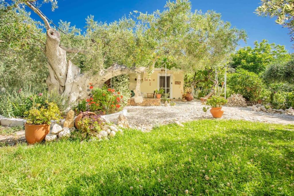 Anthia Private Studio A Breath Away From Beaches Áyios Nikítas 外观 照片